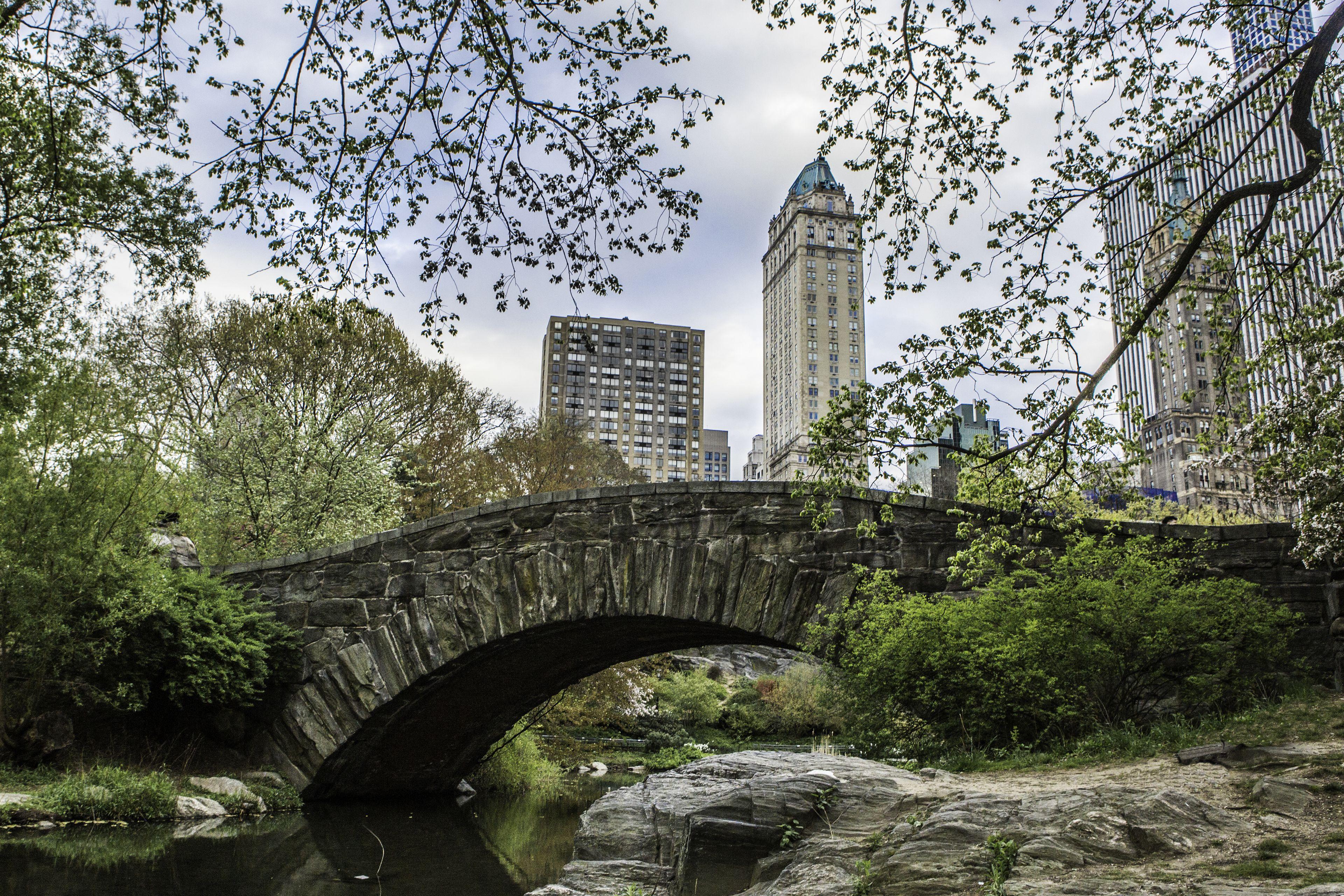 The Pierre, A Taj Hotel, Hotel New York