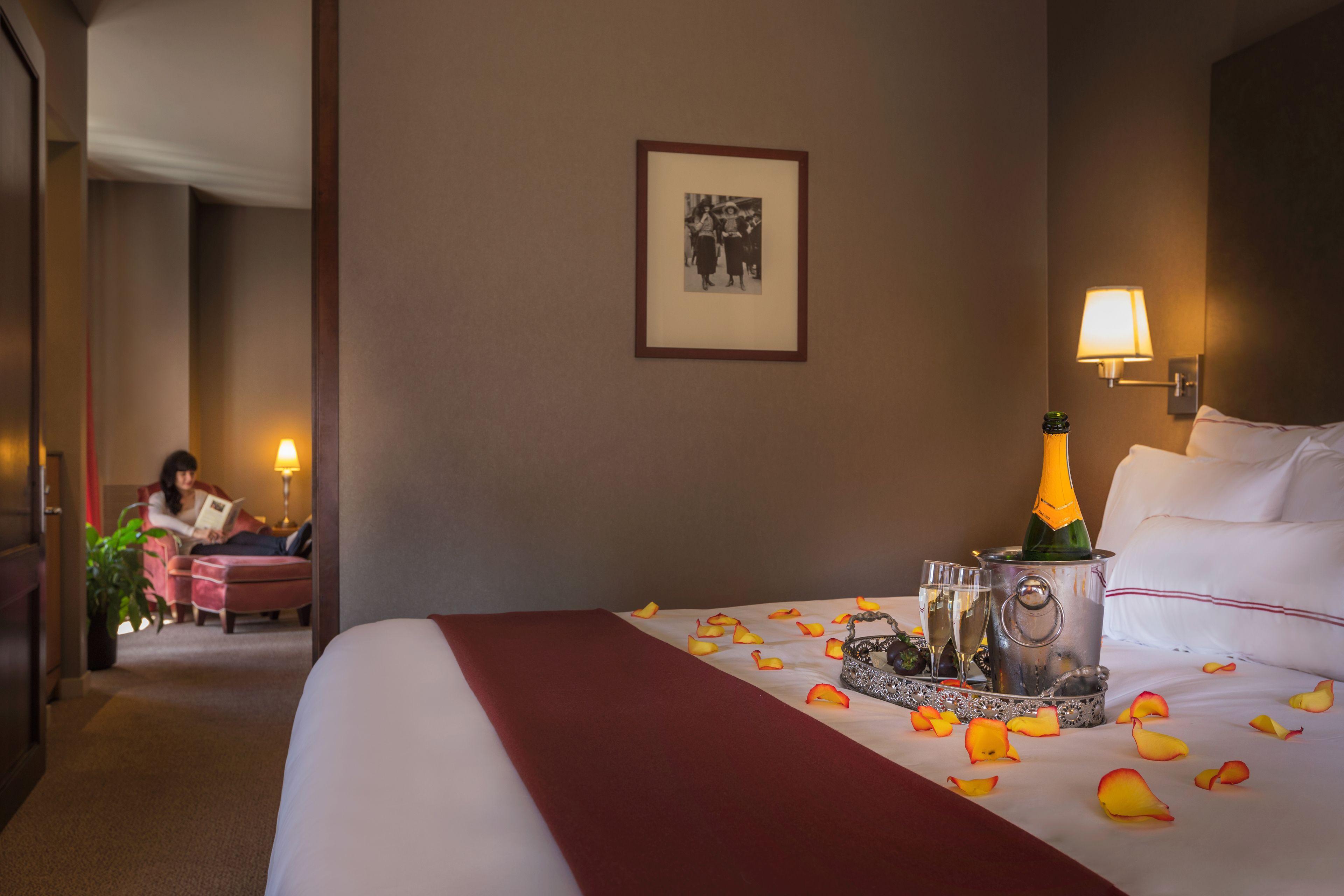 Giraffe By Library Collection New York