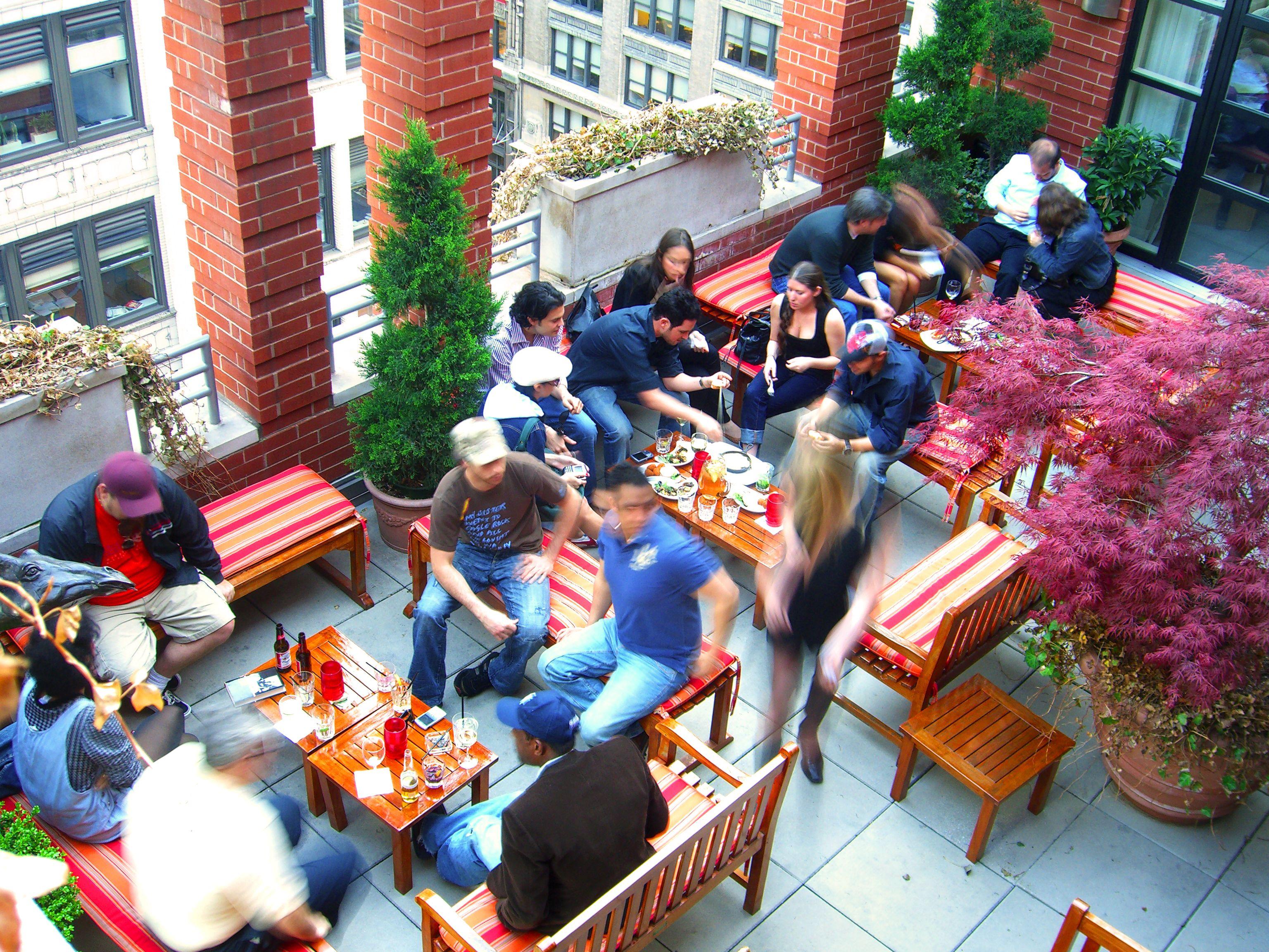 Giraffe By Library Collection