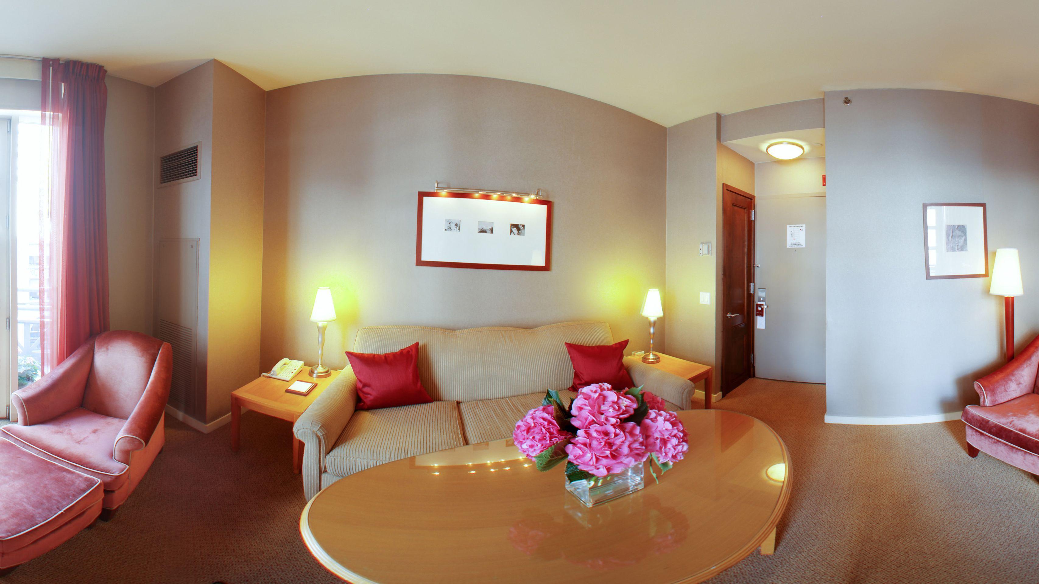 Giraffe By Library Collection New York