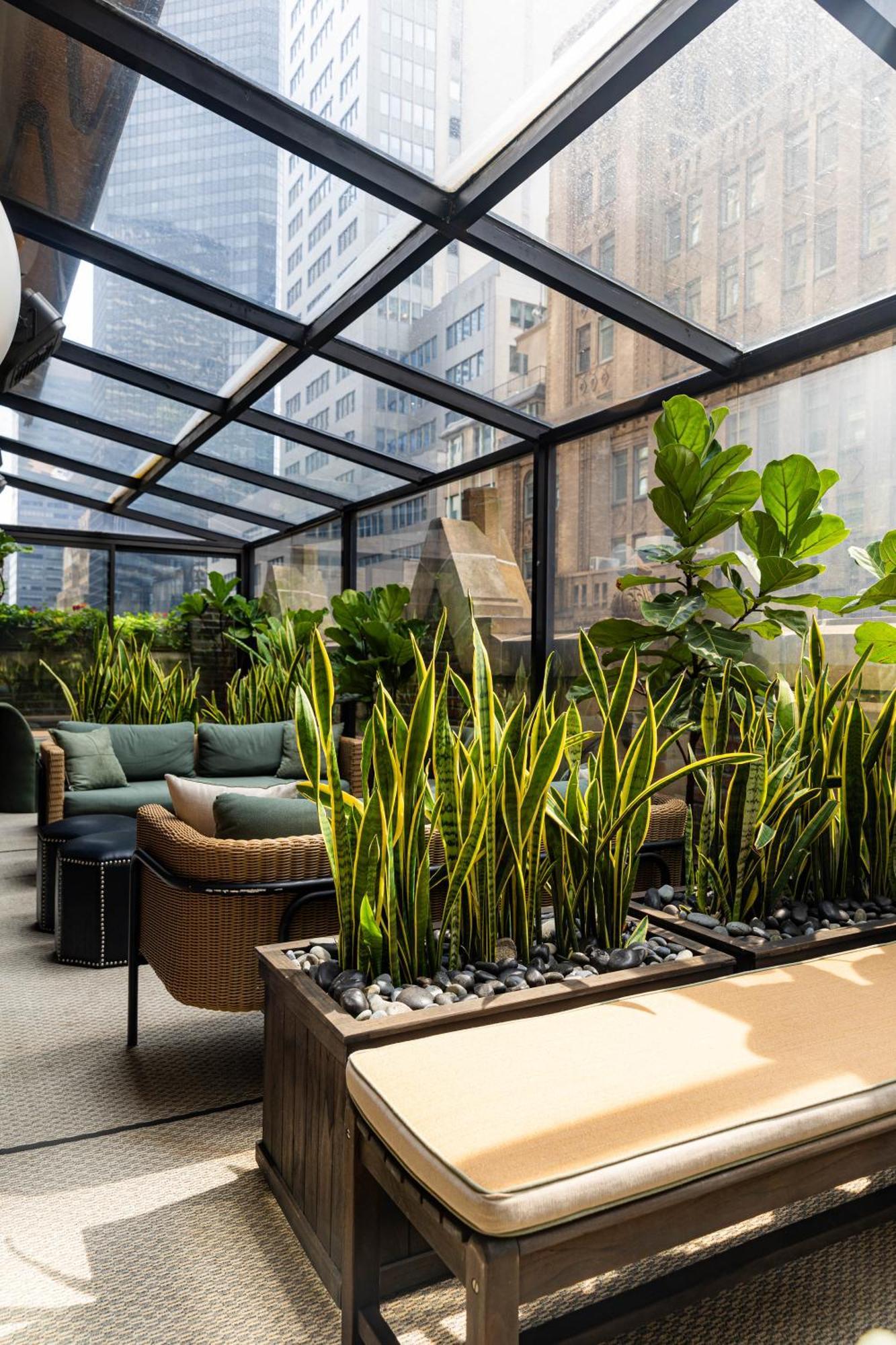 Library By Library Collection New York