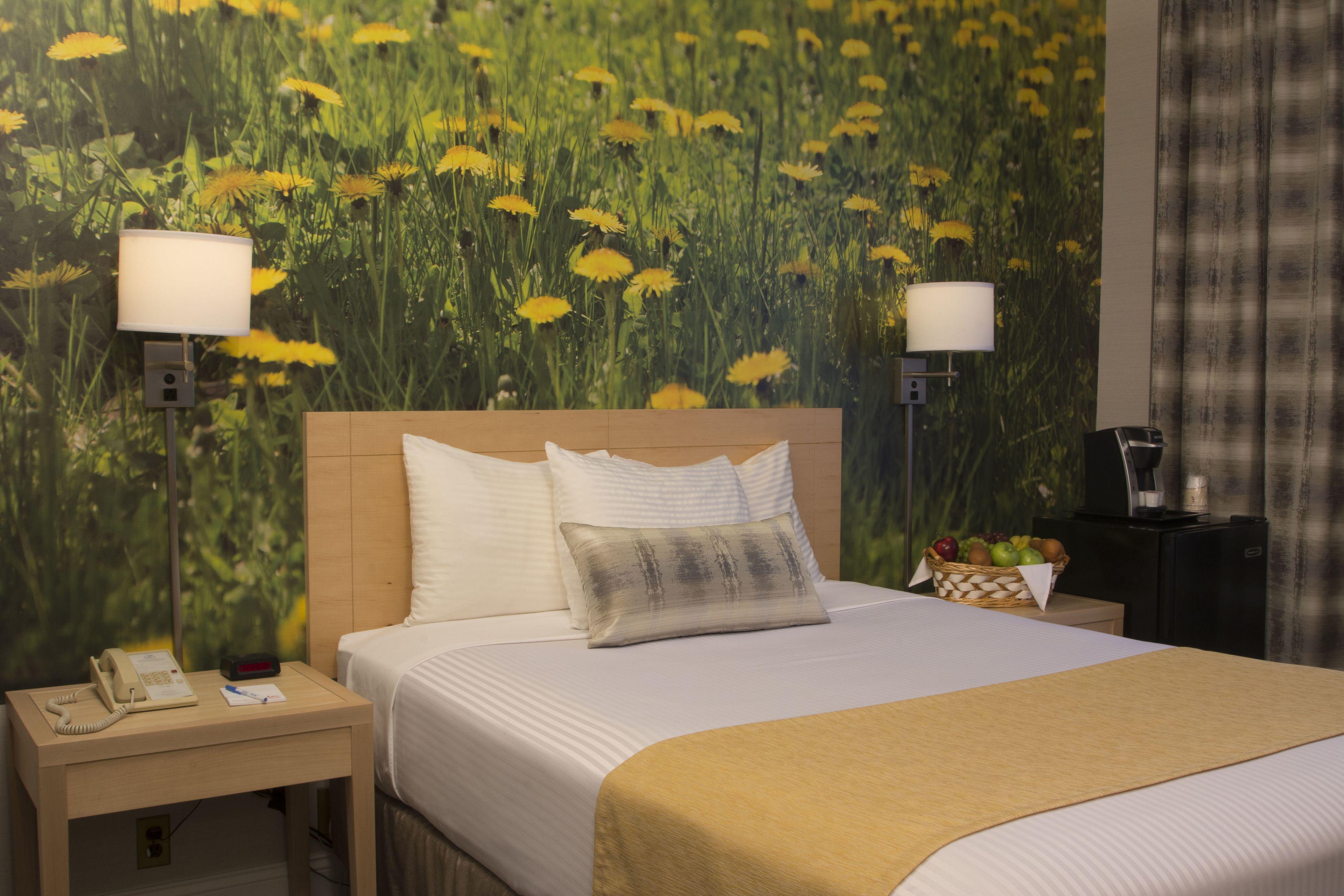 Adria And Conference Center Hotel 3*