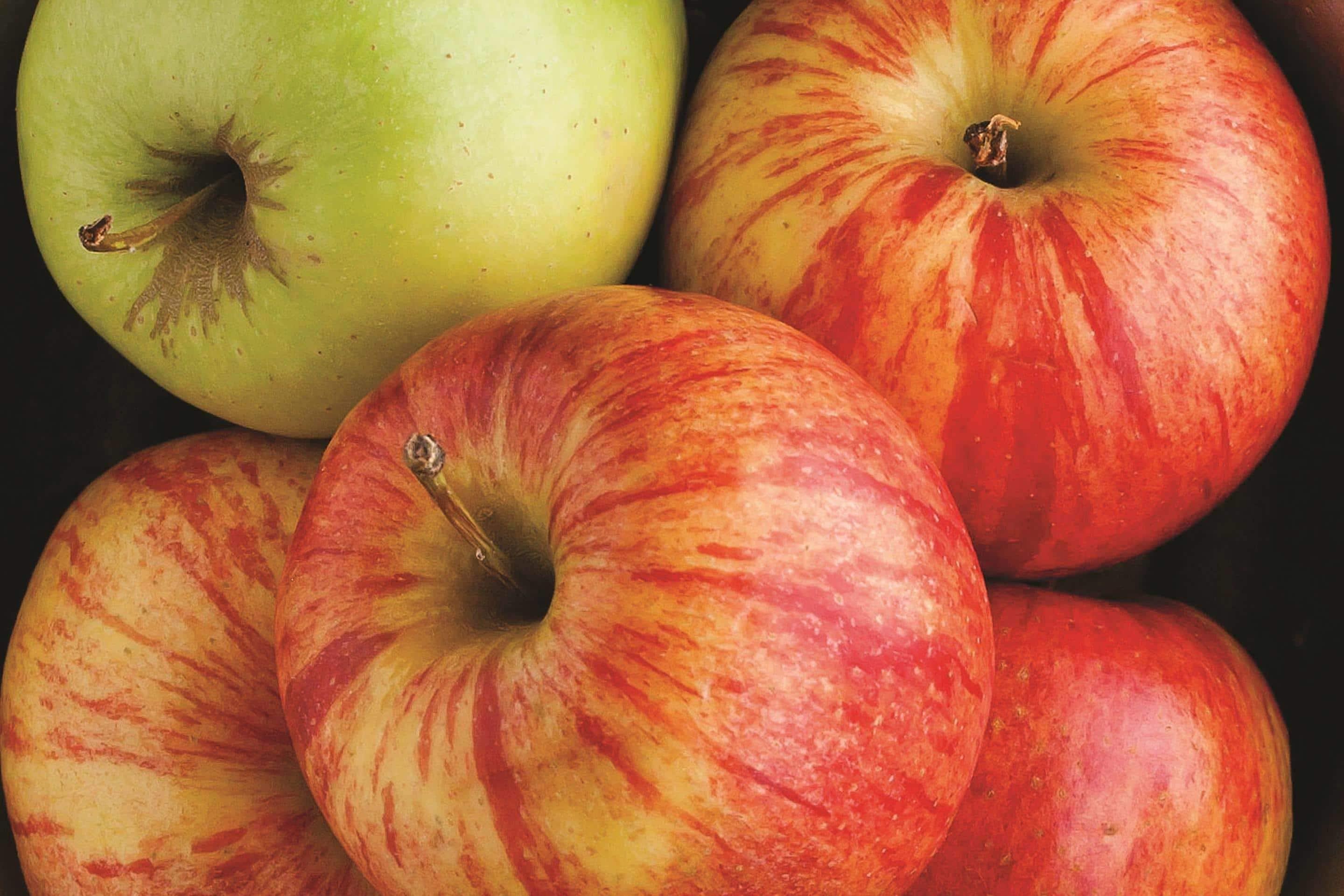 La Quinta By Wyndham Brooklyn Downtown Hotel New York