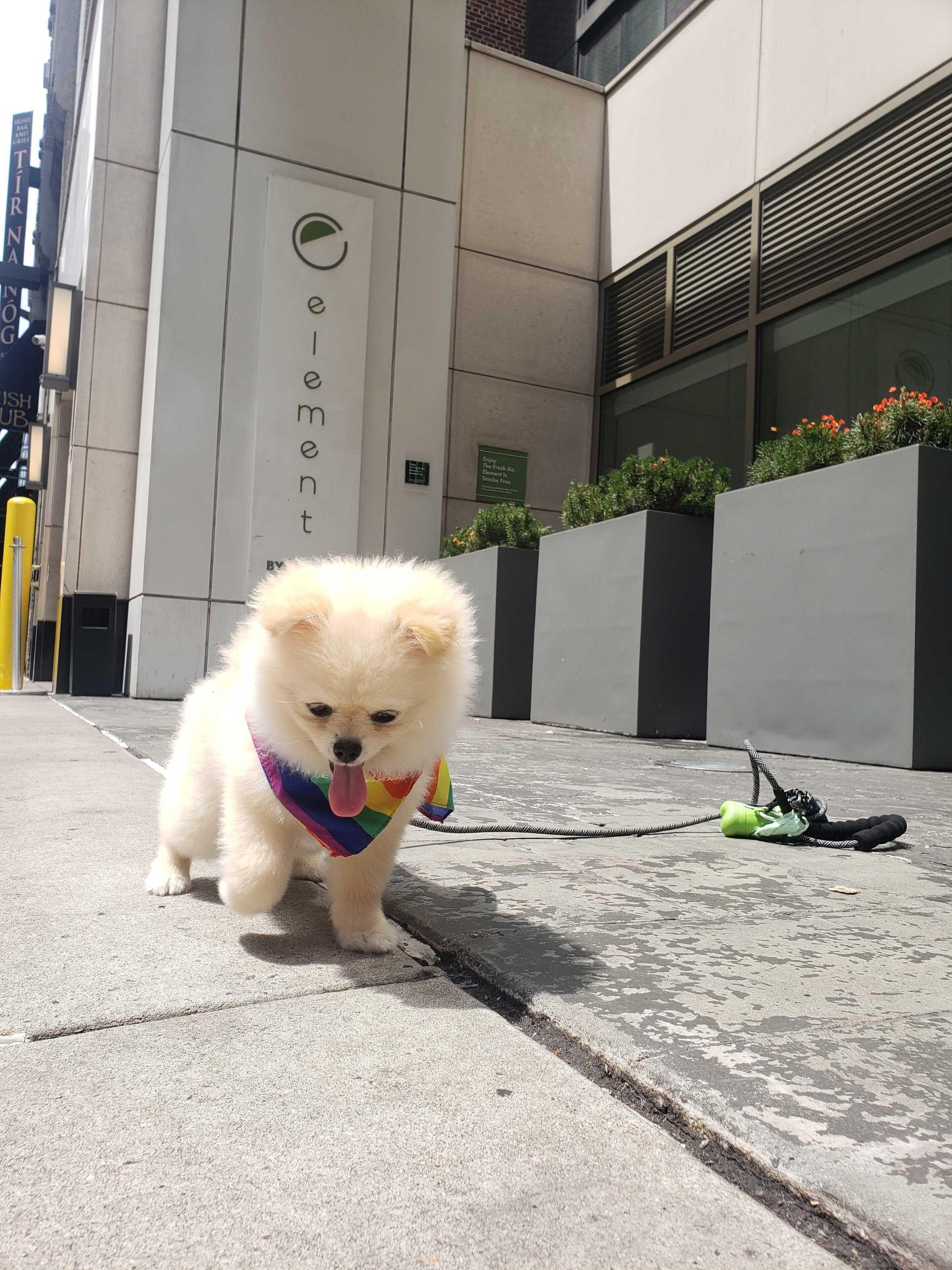 Hotel Element Times Square West 4*