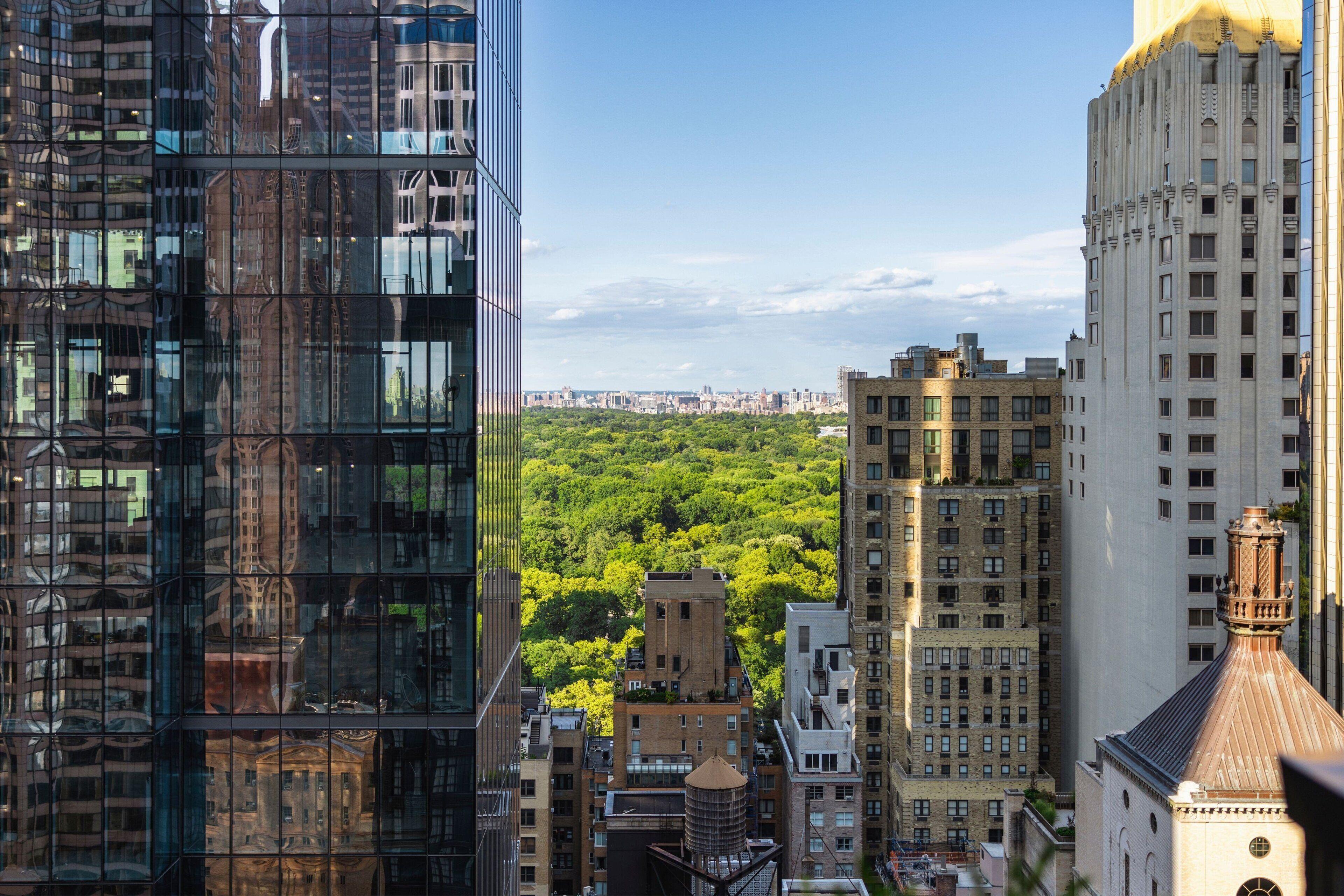 Hotel Le Meridien New York, Park New York