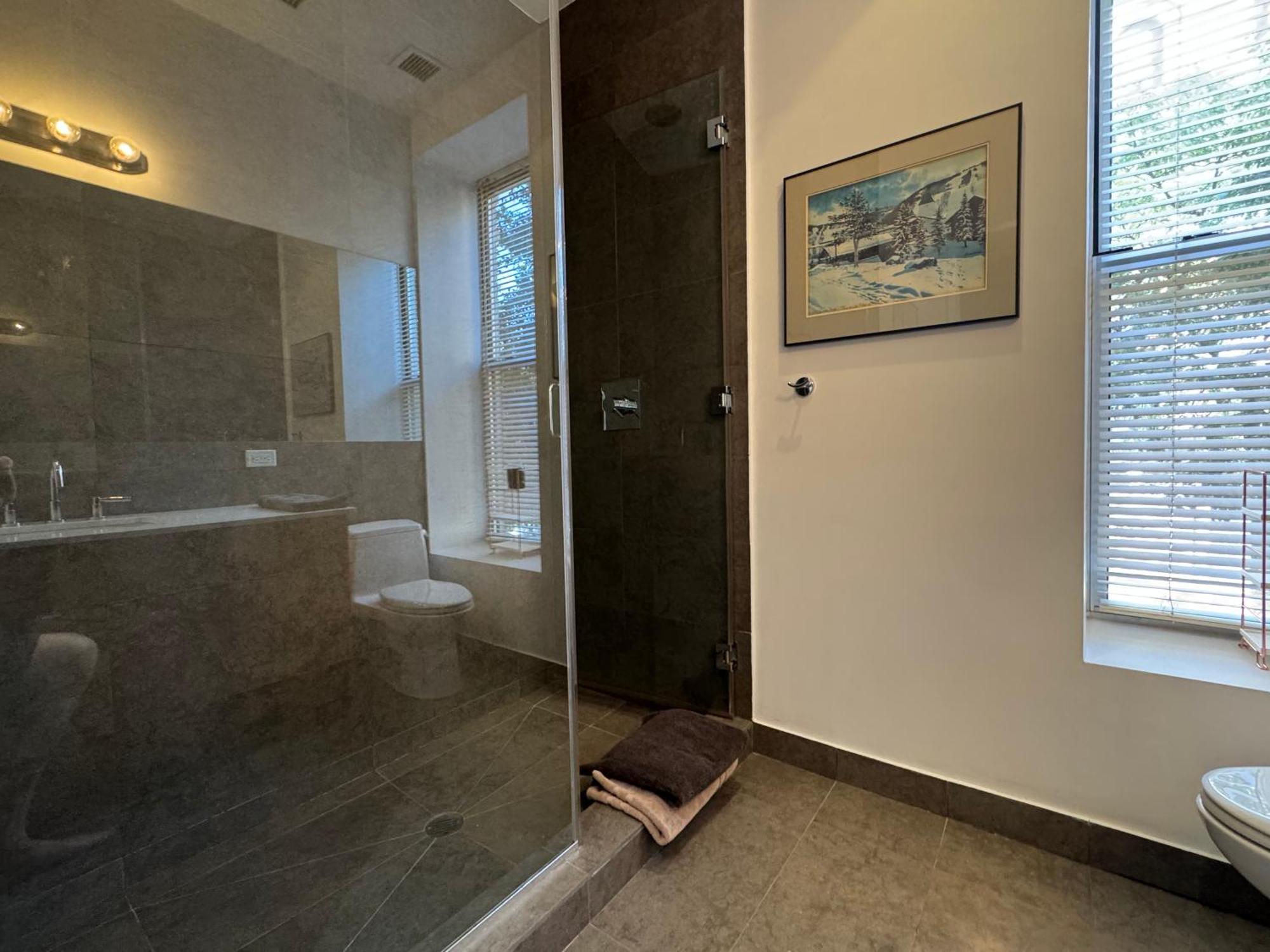 Large And Luxurious In Strivers Row New York