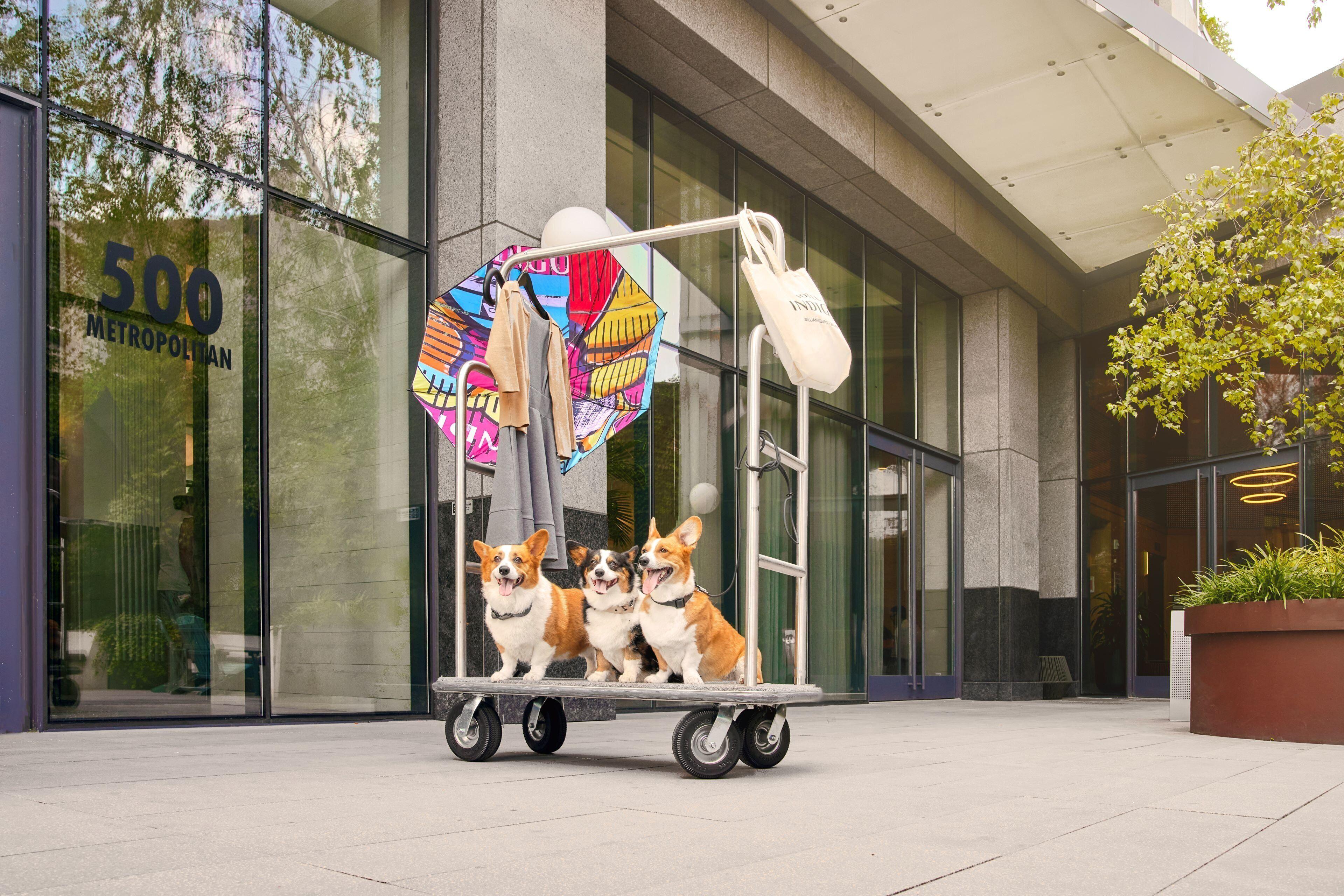 Indigo - Williamsburg - Brooklyn By Ihg 4*