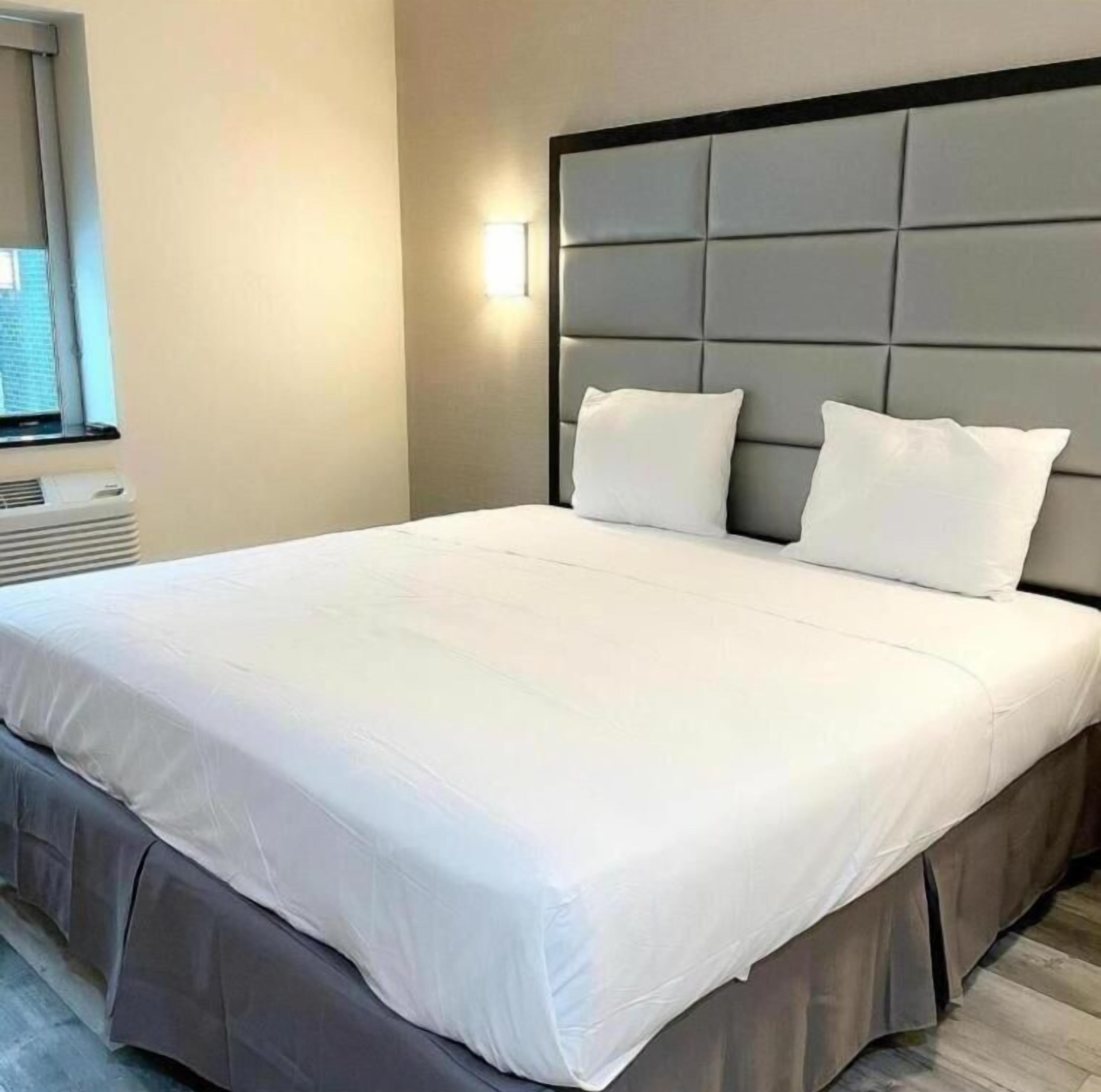 Umbrella Brooklyn - Newly Renovated