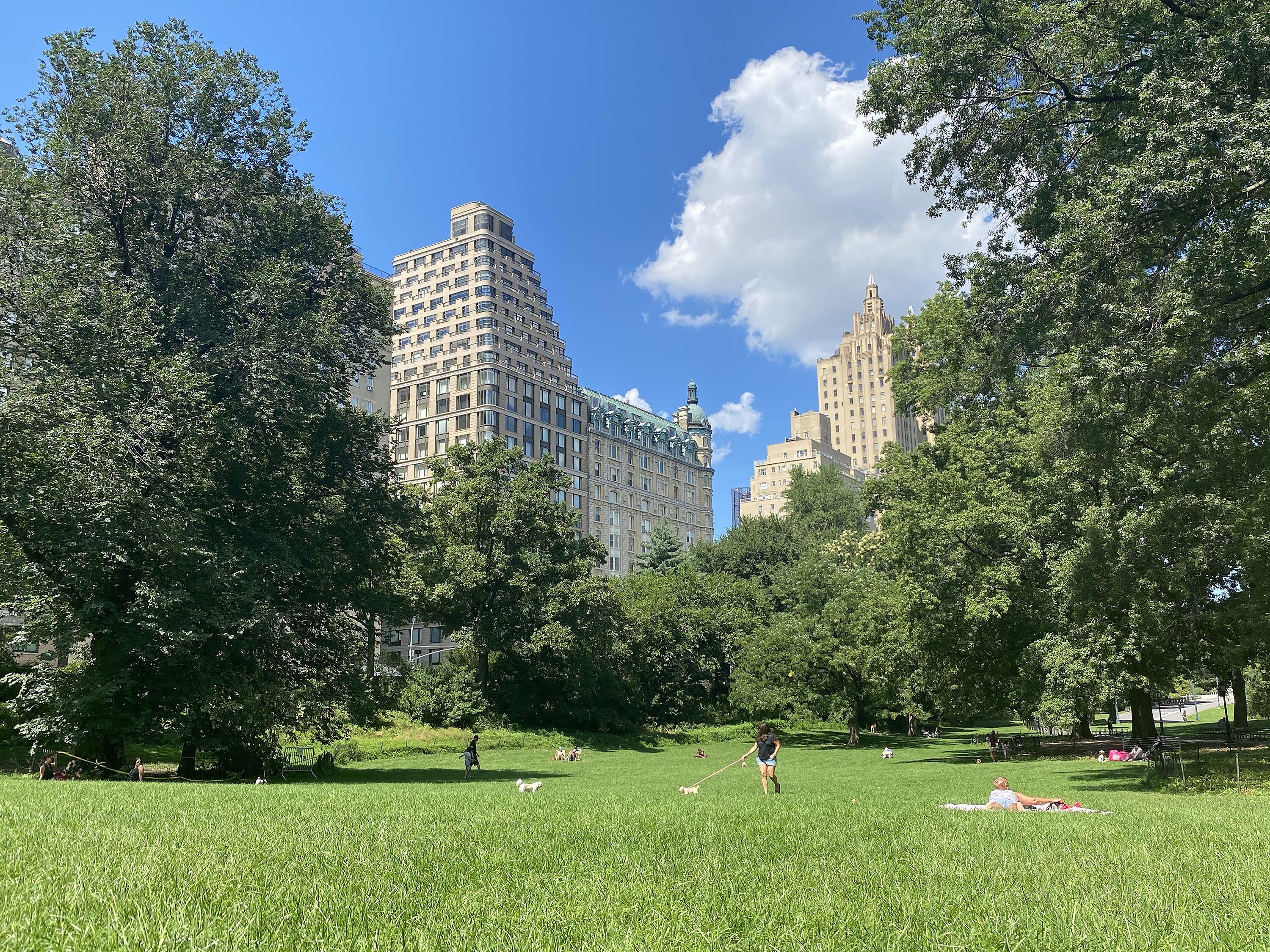 Nap York Park Sleep Station * New York