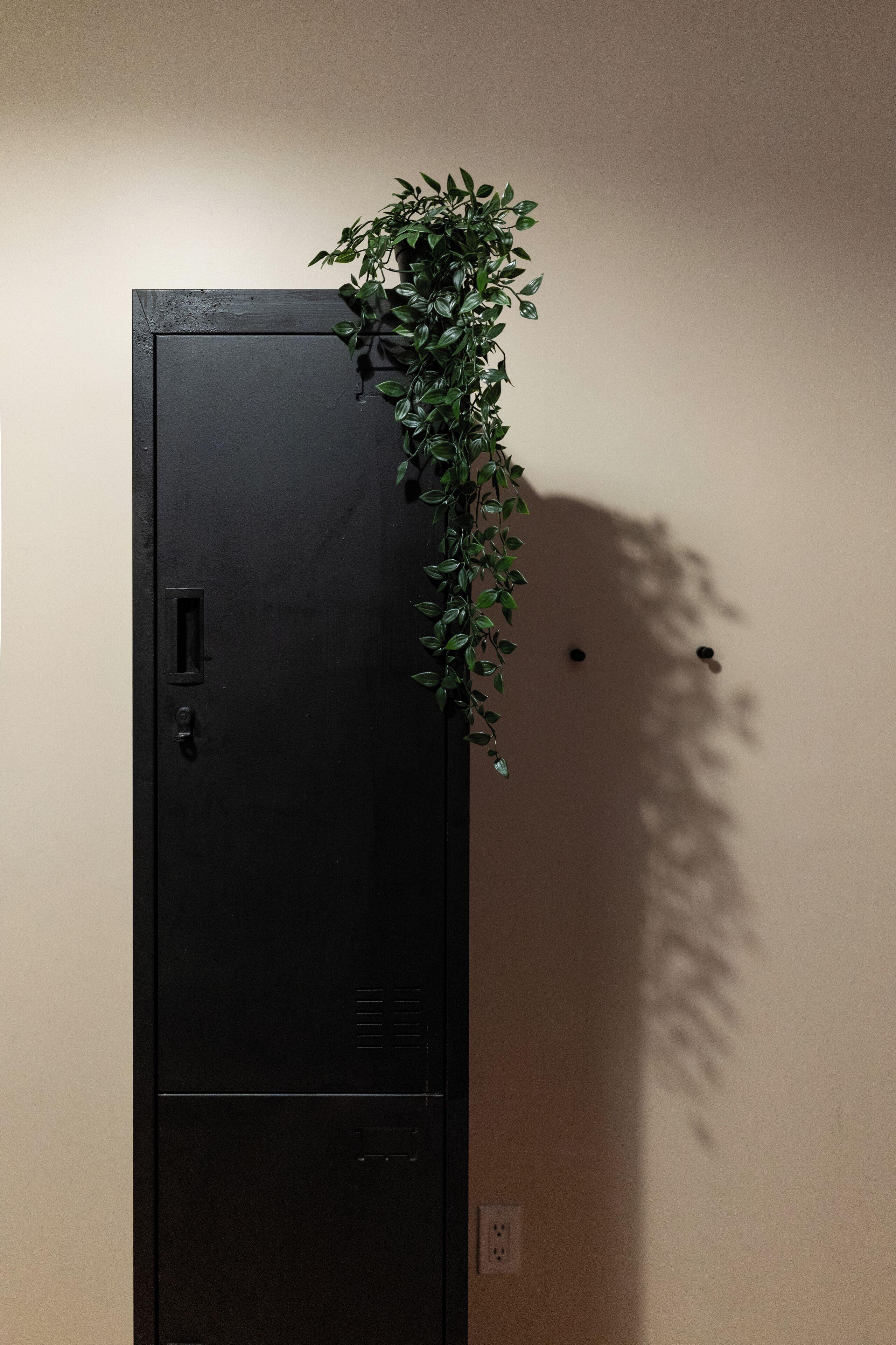 Nap York Park Sleep Station Hostel