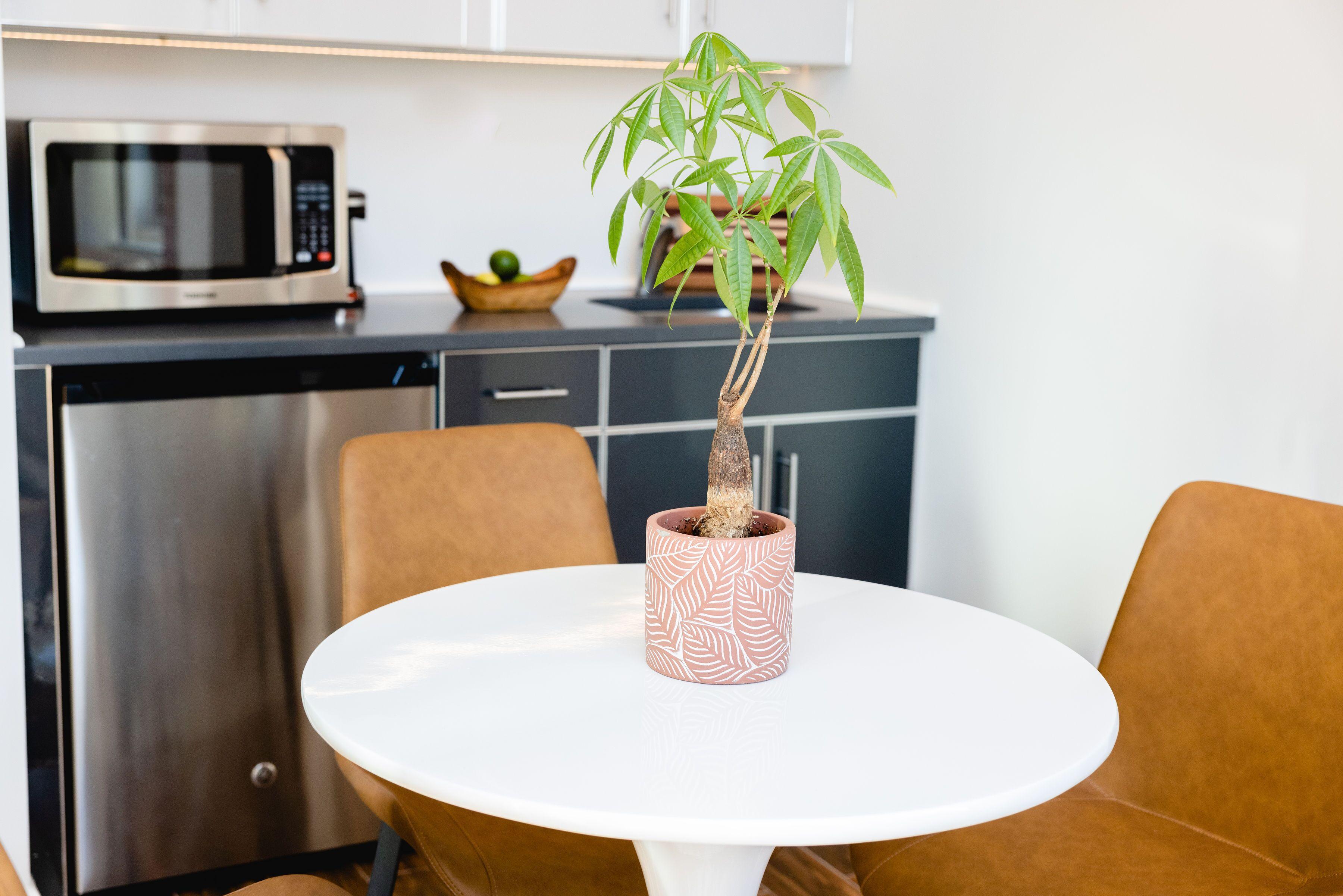 The Modernist Hotel 2*