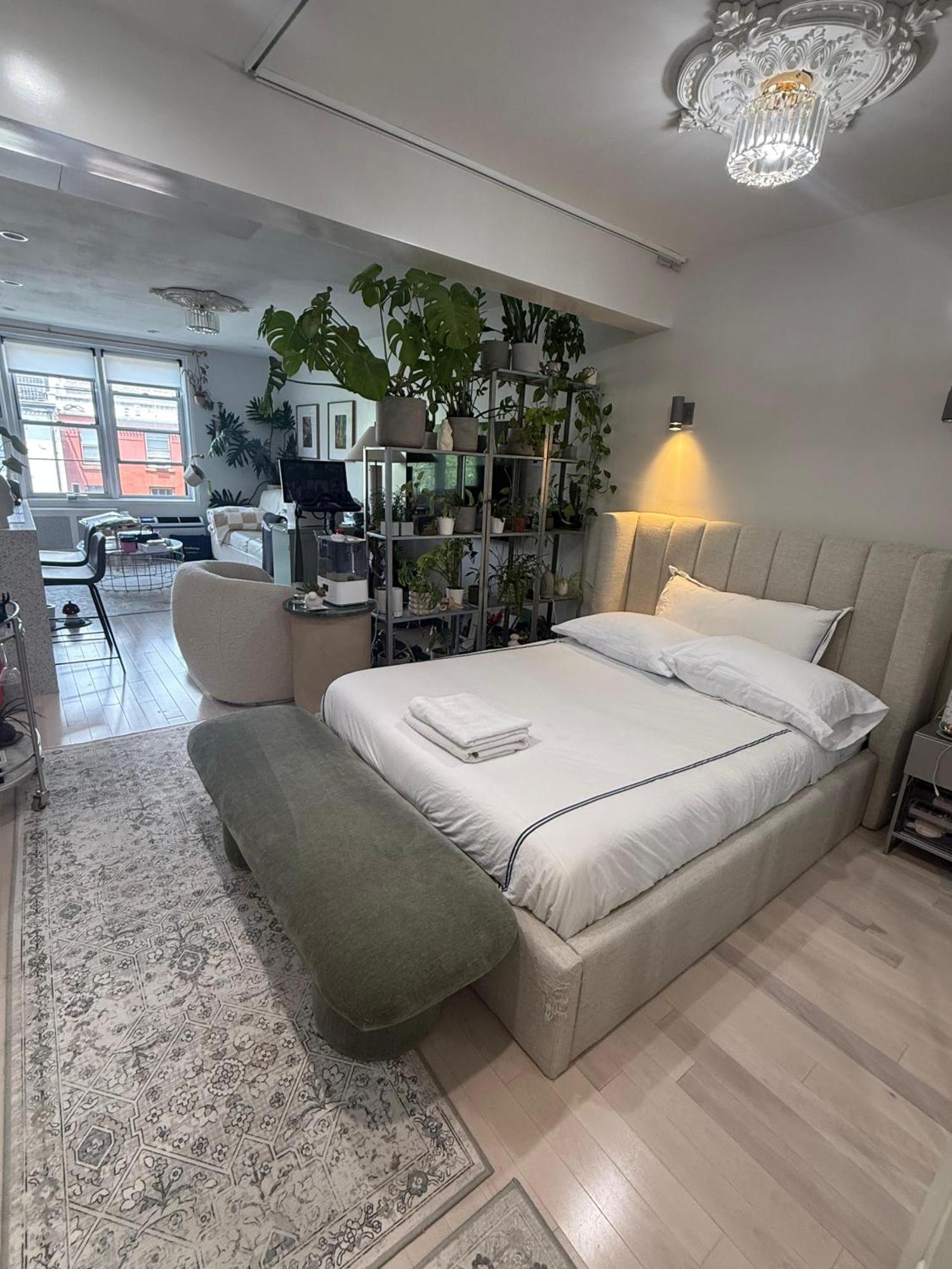 Serene In Brooklyn Heights