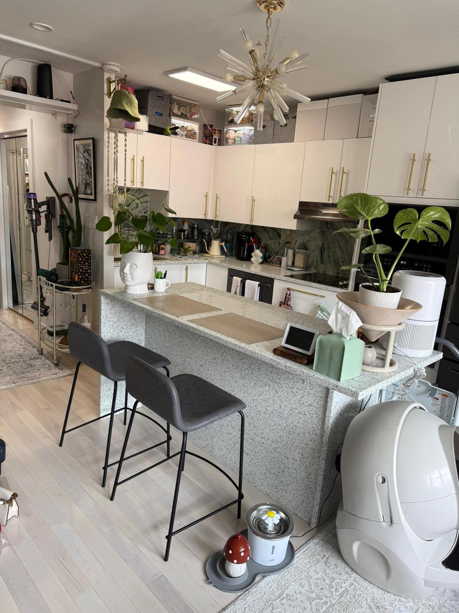 Serene In Brooklyn Heights New York