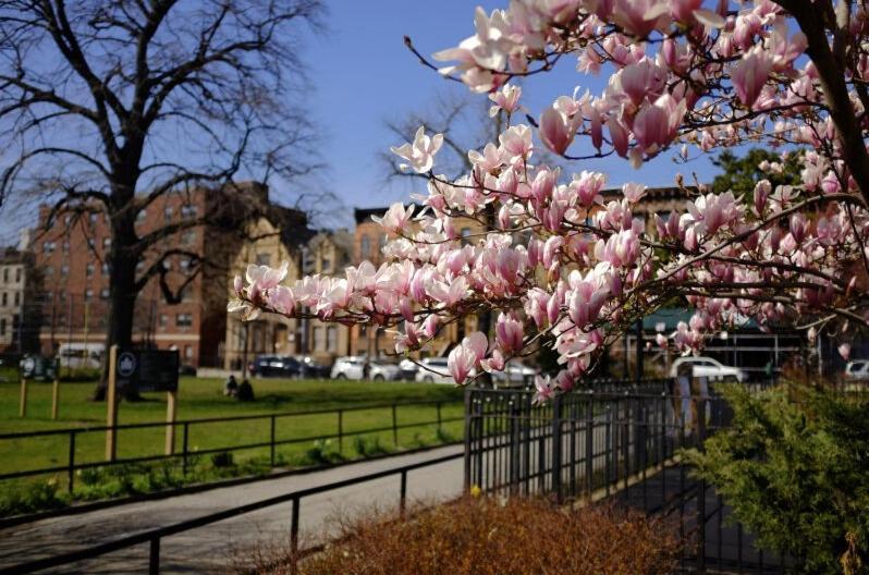 Relax And Unwind At Chic Bed-stuy Brownstone New York