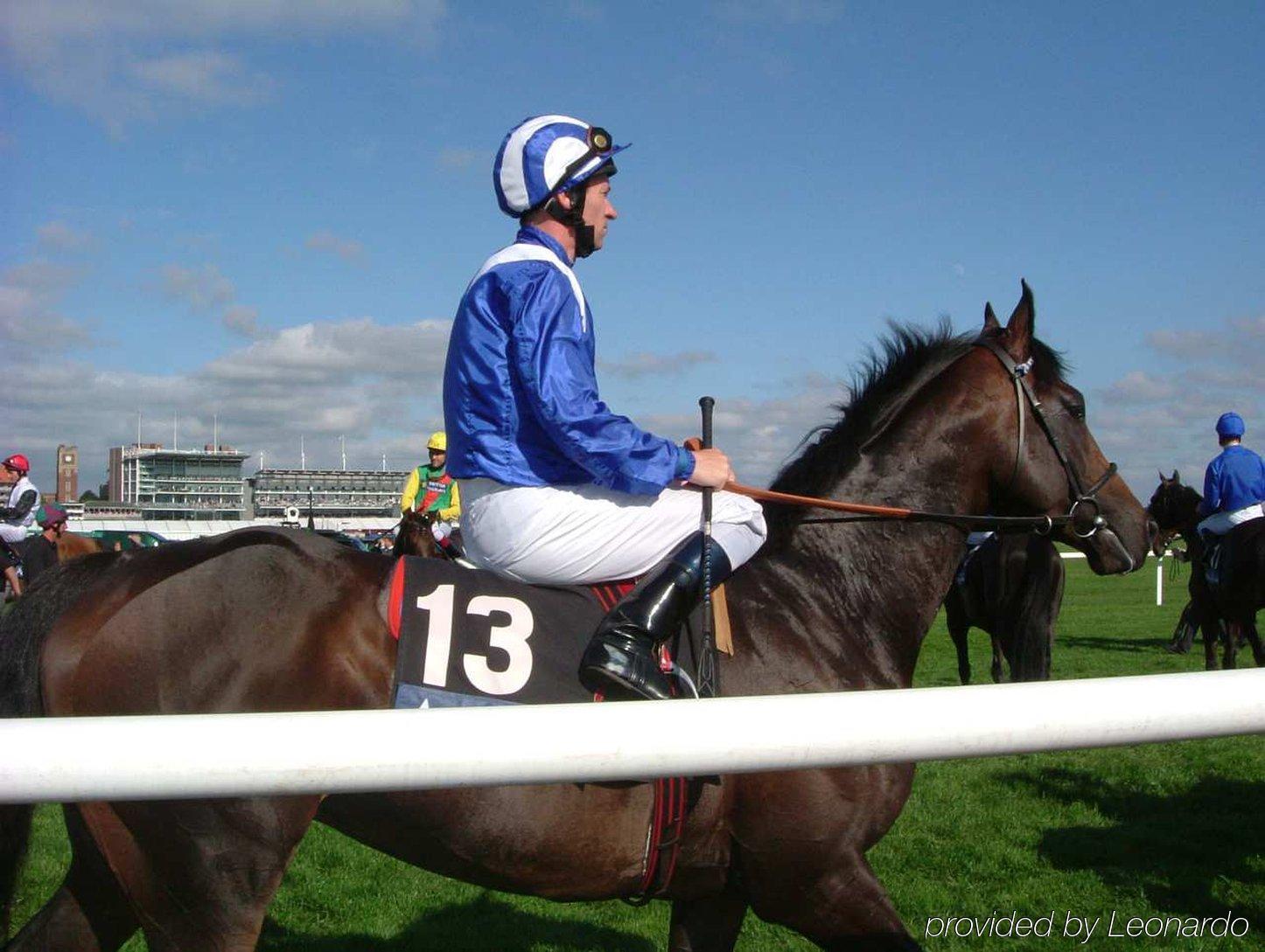 Hilton Garden Queens Jfk Hotel