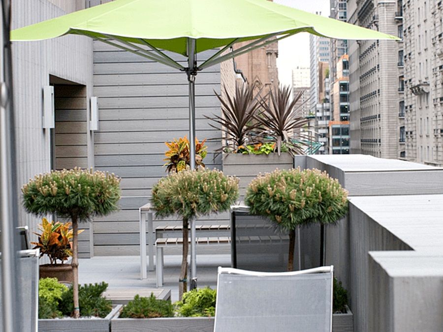 The Shoreham Hotel 4*