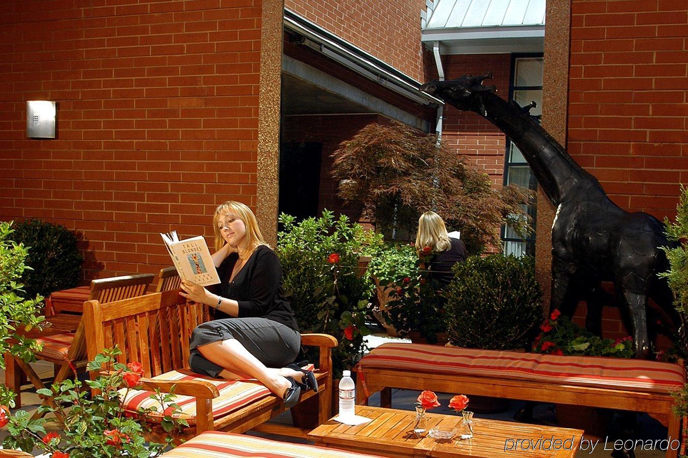 Giraffe By Library Collection