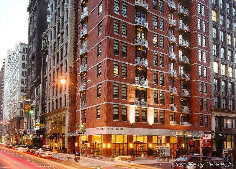 Hotel Giraffe By Library Collection