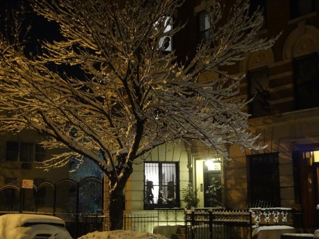 Hotel The Gallery House 2*