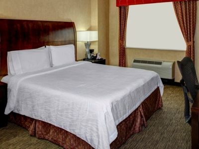 Hotel Hilton Garden New York/manhattan-chelsea New York