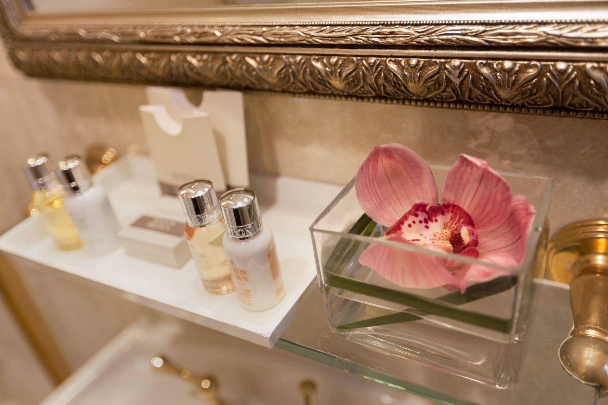 Hotel Iroquois Times Square 5*