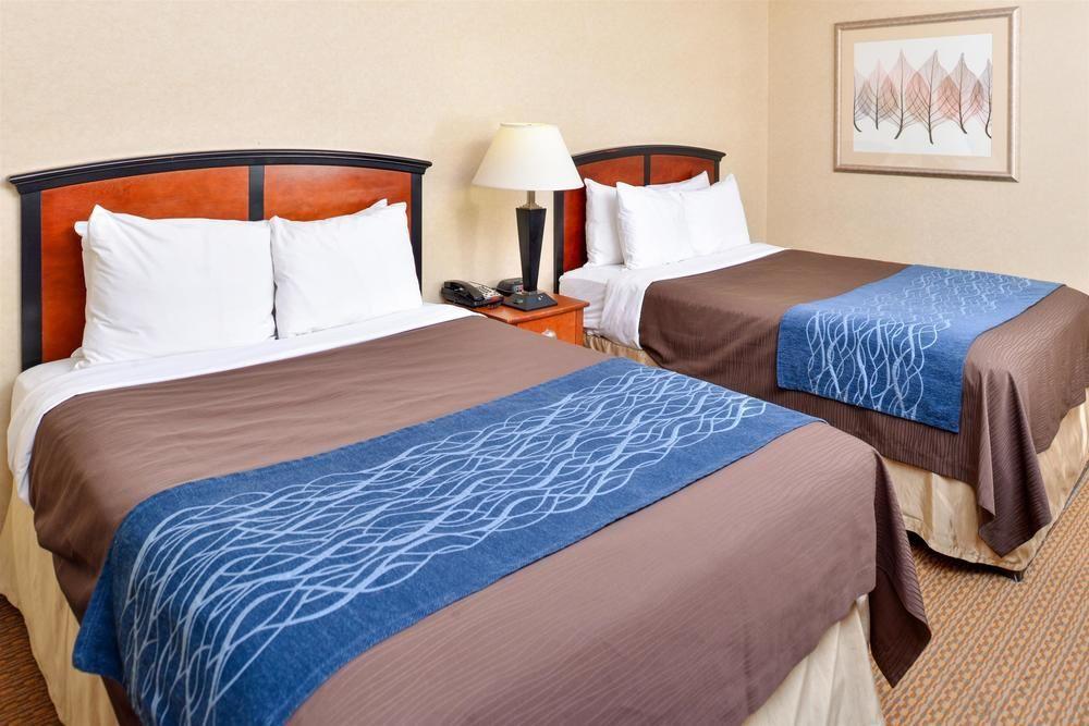 Red Lion And Brooklyn Hotel New York