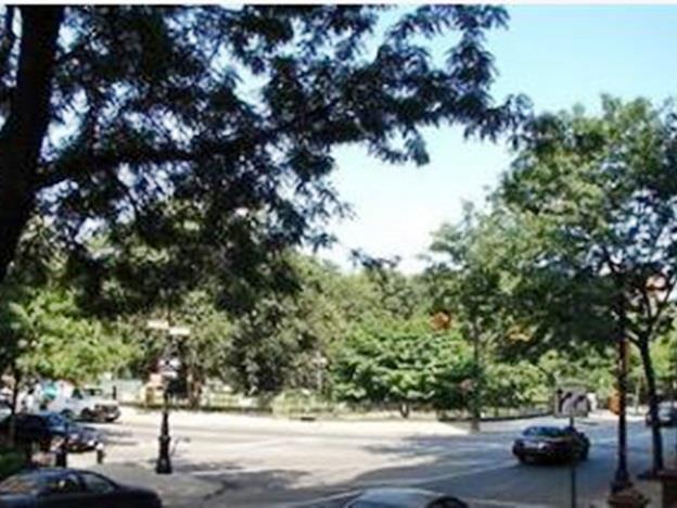 Harlem Bed & Breakfast New York