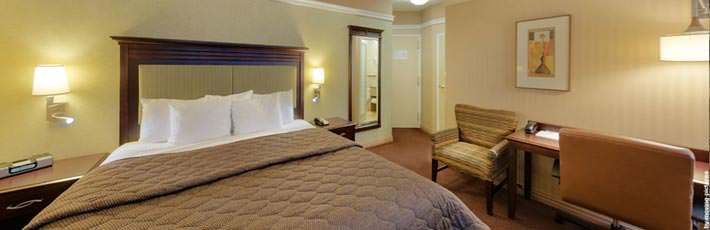 46 Times Square Hotel New York