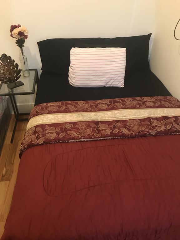 The Pandora Guest house