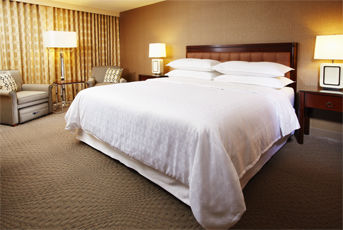 Sheraton Jfk Airport New York