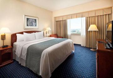 Hotel Courtyard By Marriott Jfk Airport New York