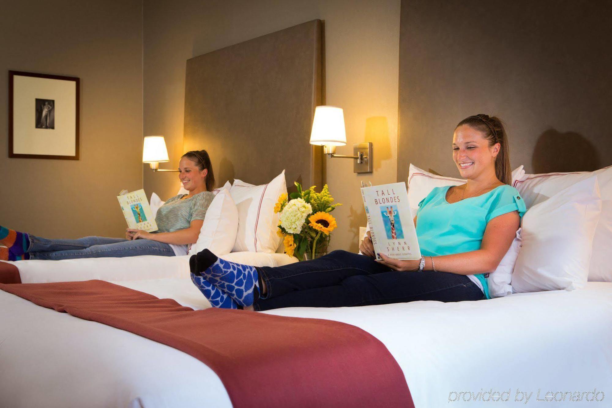 Giraffe By Library Collection 4*