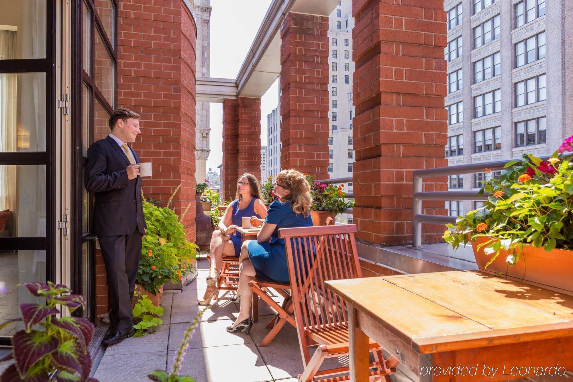 Giraffe By Library Collection