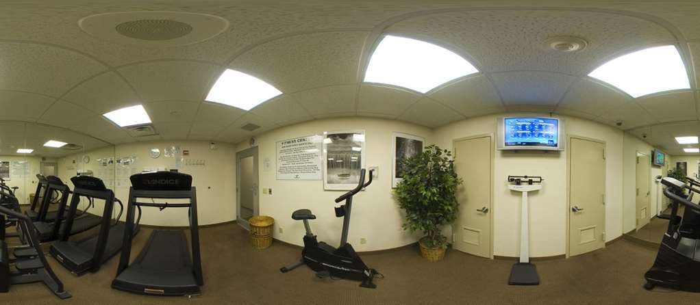 Hampton Manhattan Chelsea New York