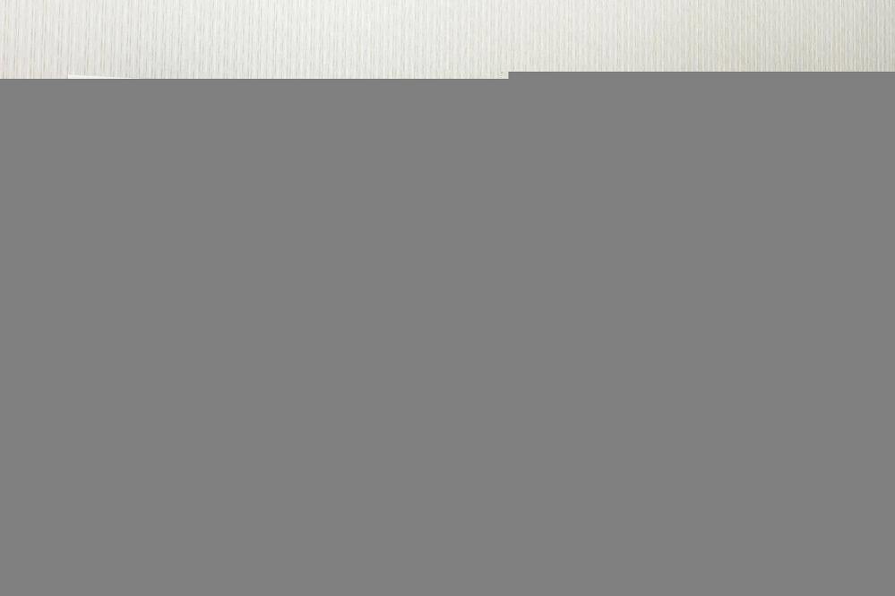 Pitkin Hotel New York