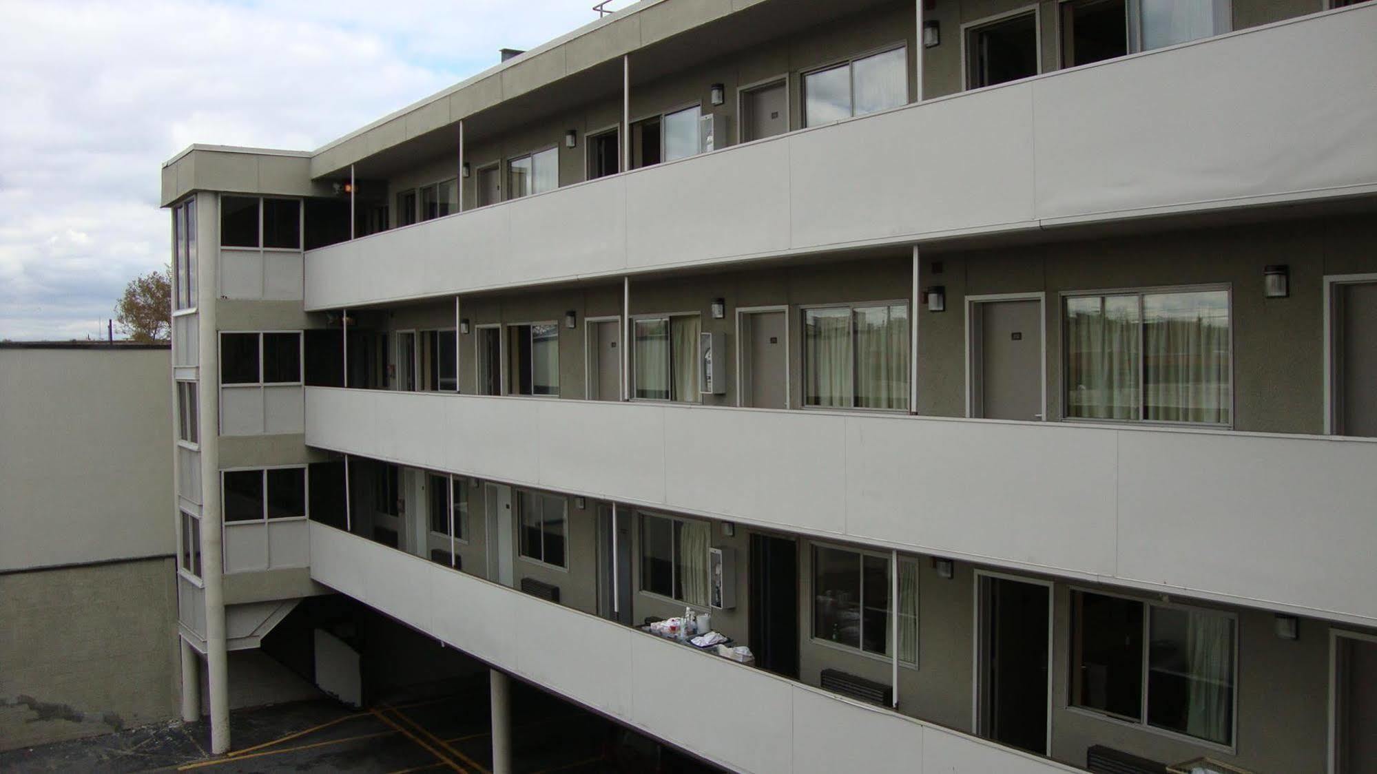 Oasis In Brooklyn 2*