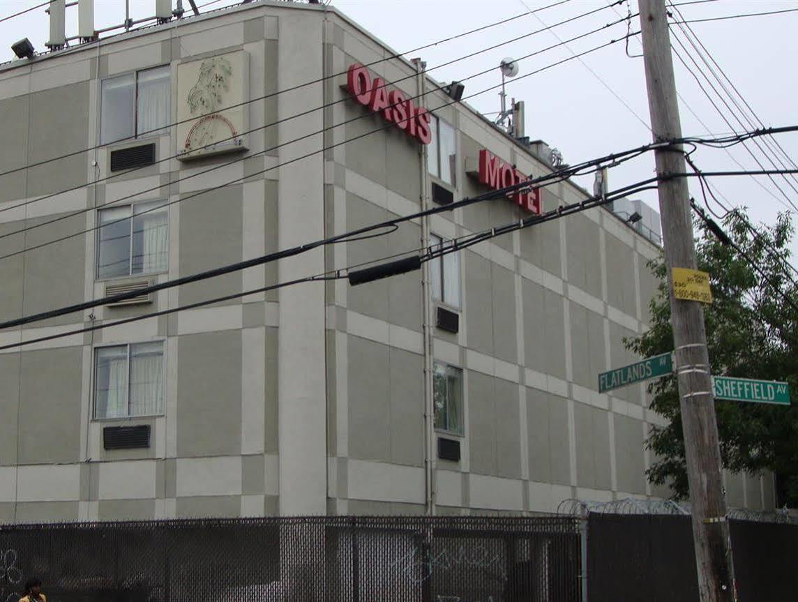 Oasis In Brooklyn