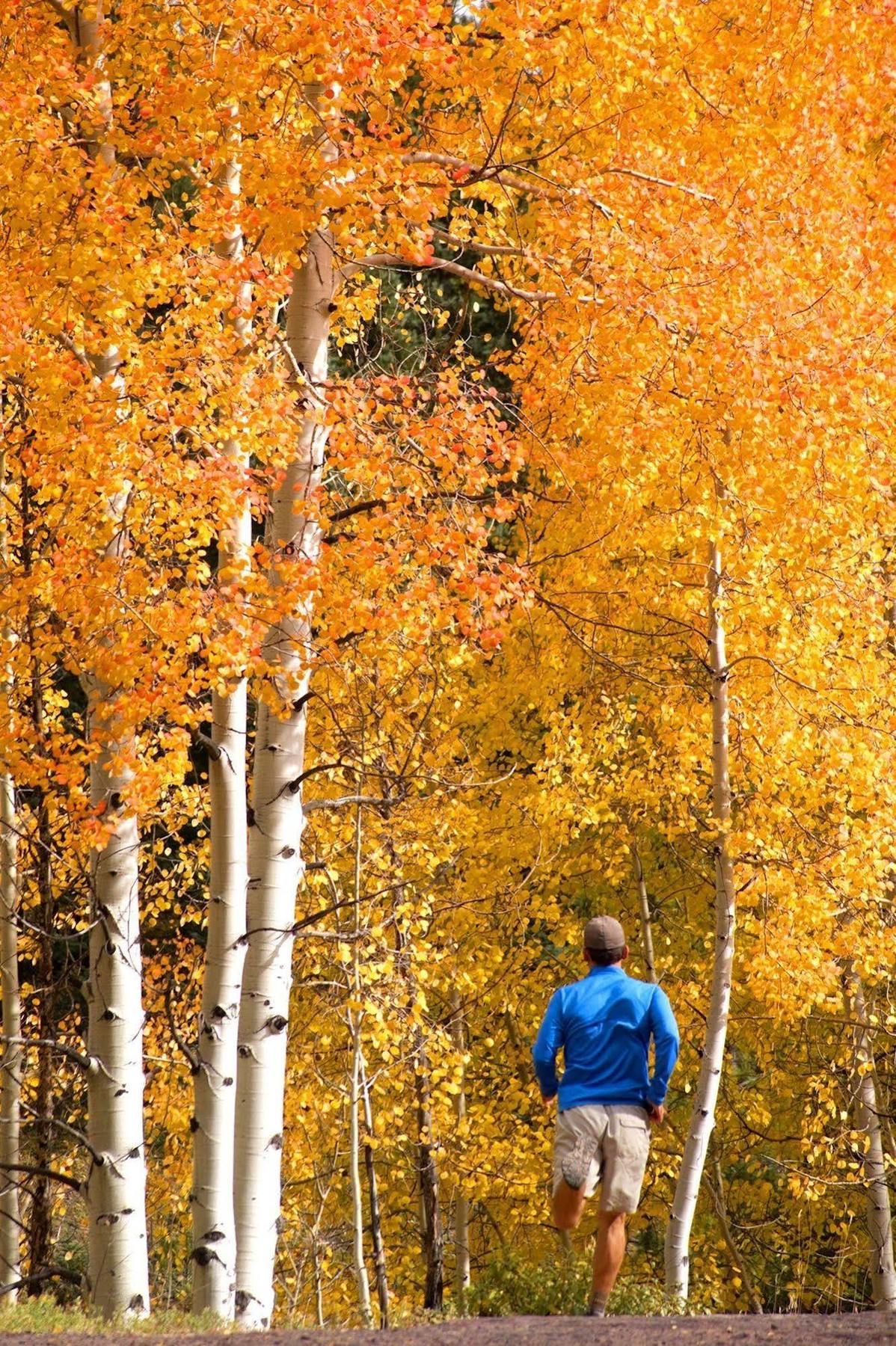 Element Times Square West Hotel 4*