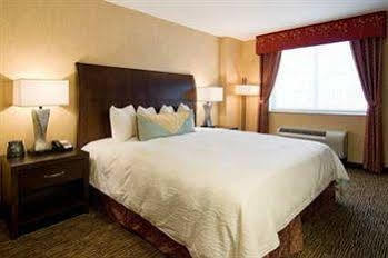 Hilton Garden New York/manhattan-chelsea New York