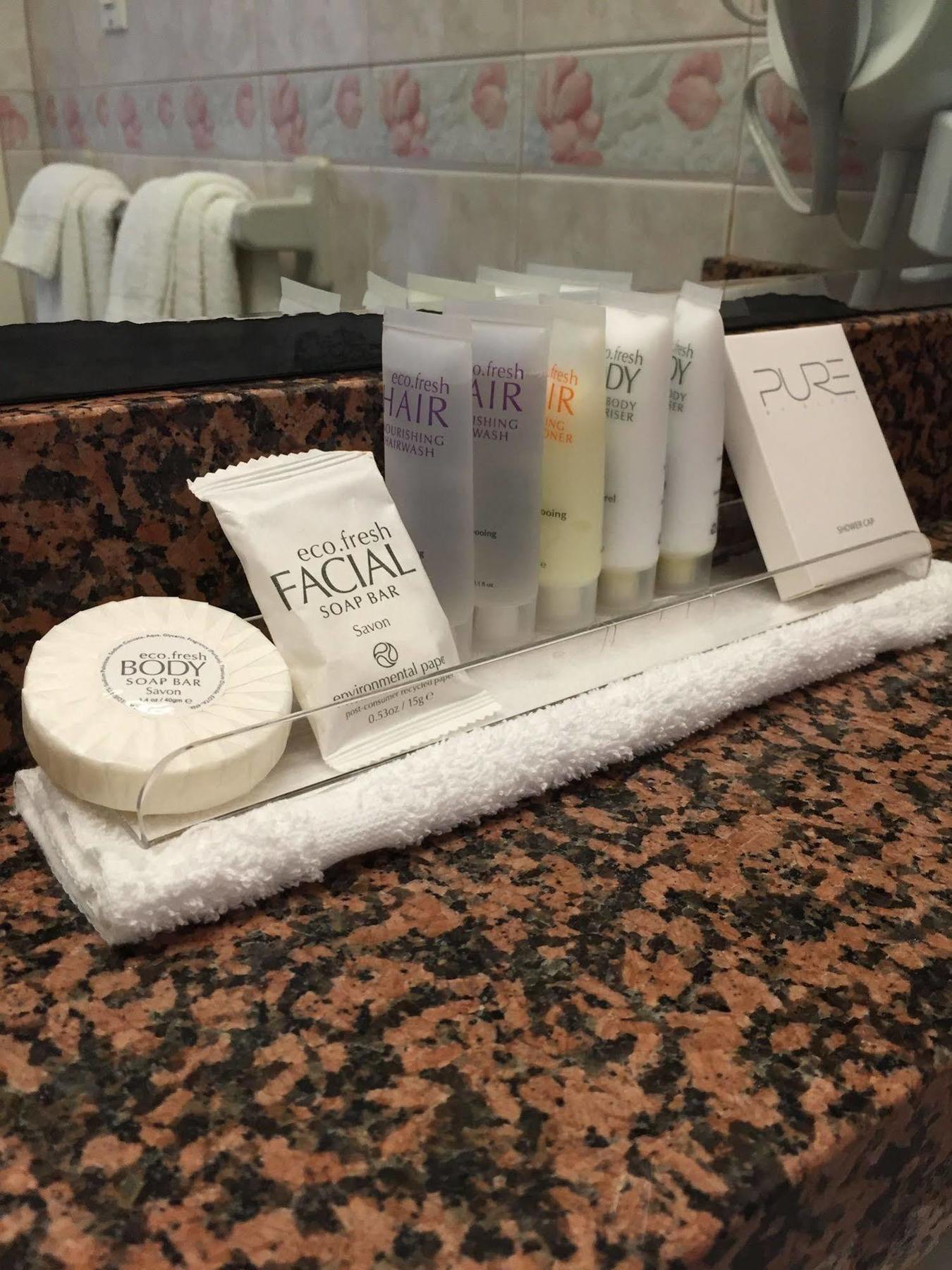 Hotel Chelsea Savoy New York