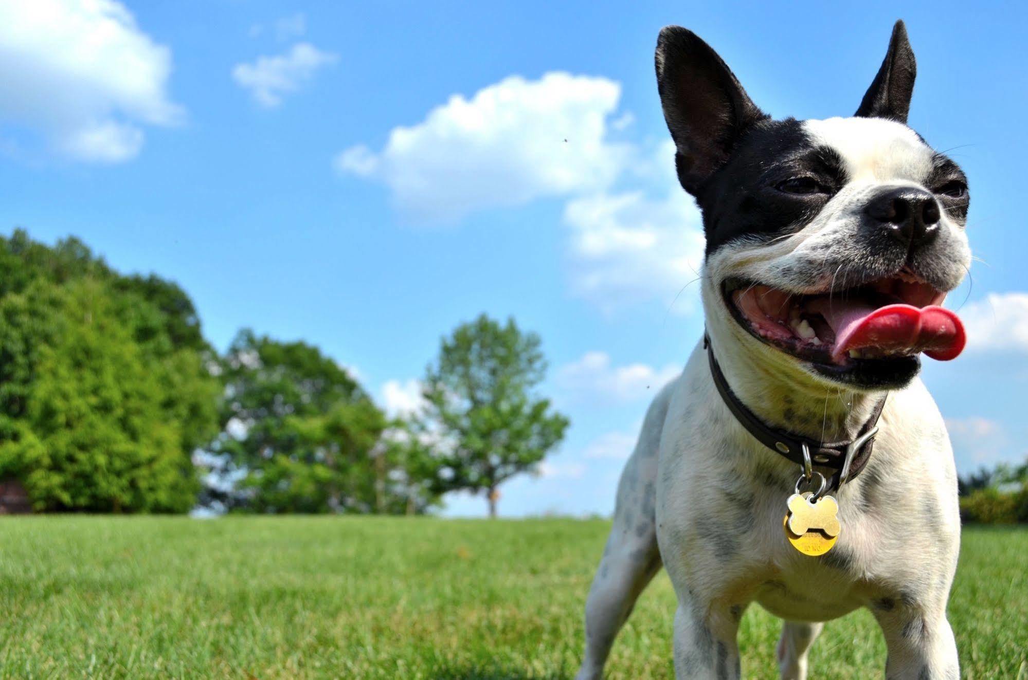 Aloft Brooklyn Hotel New York