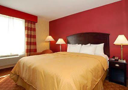 Lex View At Jfk Airport Hotel New York