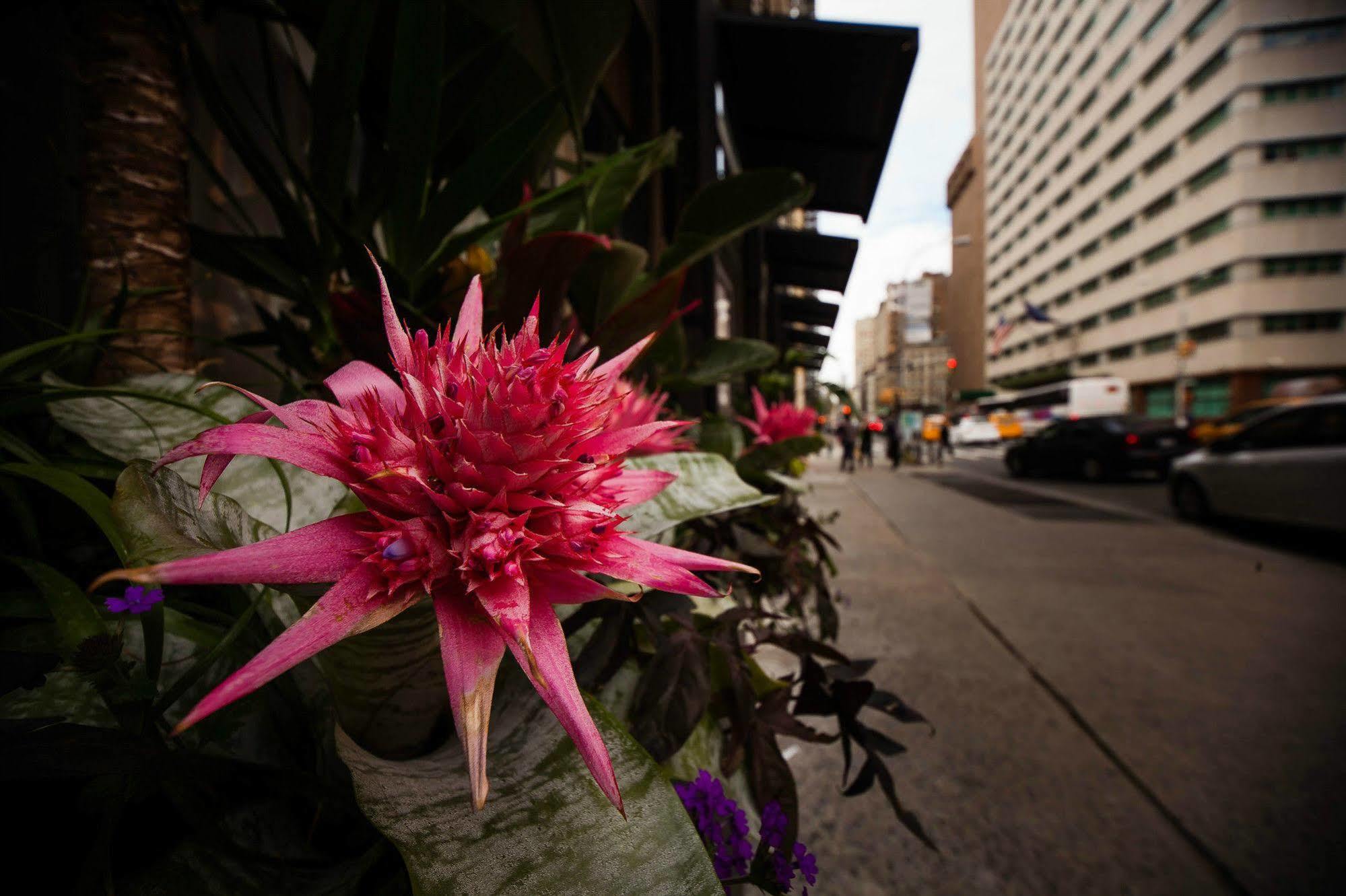 Hotel Duane Street Tribeca, Sonder By Marriott Bonvoy