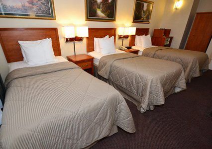 Comfort Chelsea Hotel 2*