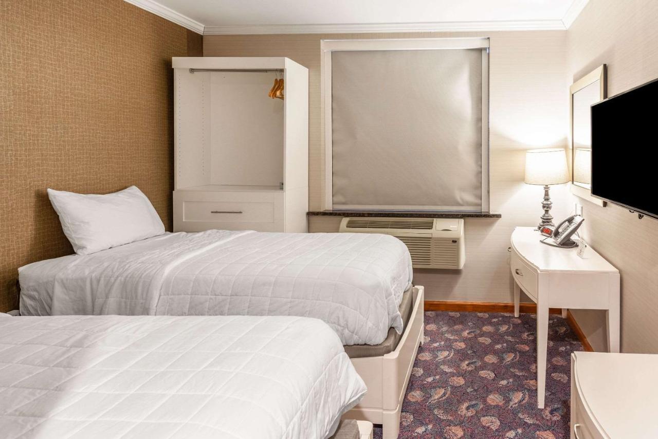 Umbrella Brooklyn - Newly Renovated 3* New York