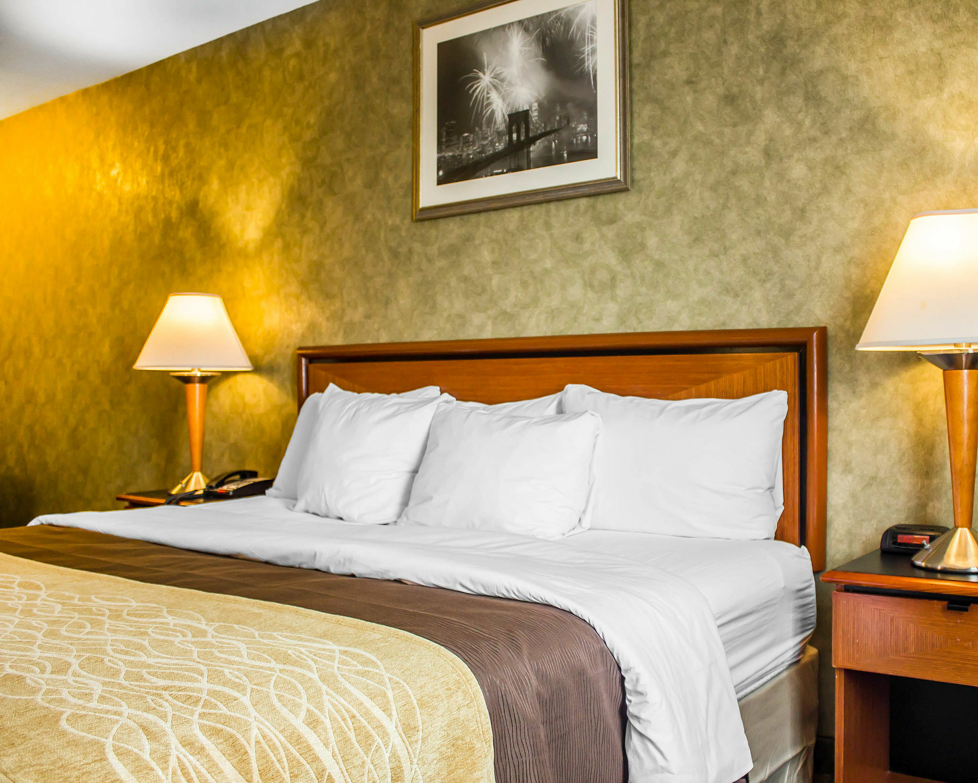 Comfort Brooklyn New York