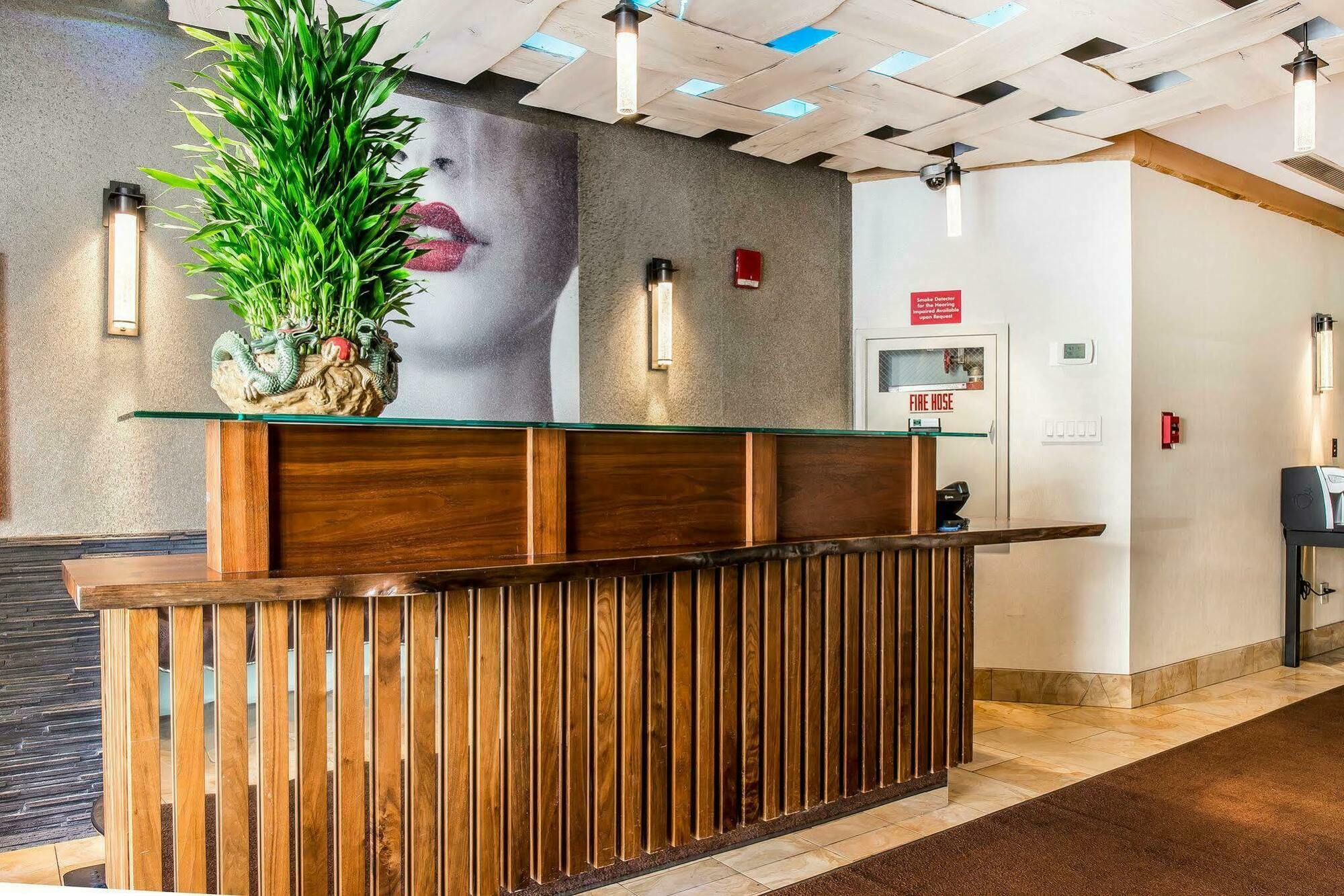 Solita Soho Hotel New York