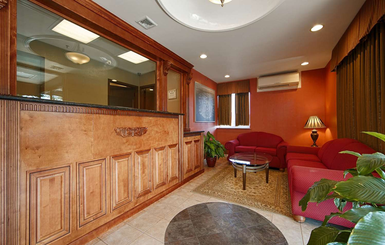 Western Jamaica New York