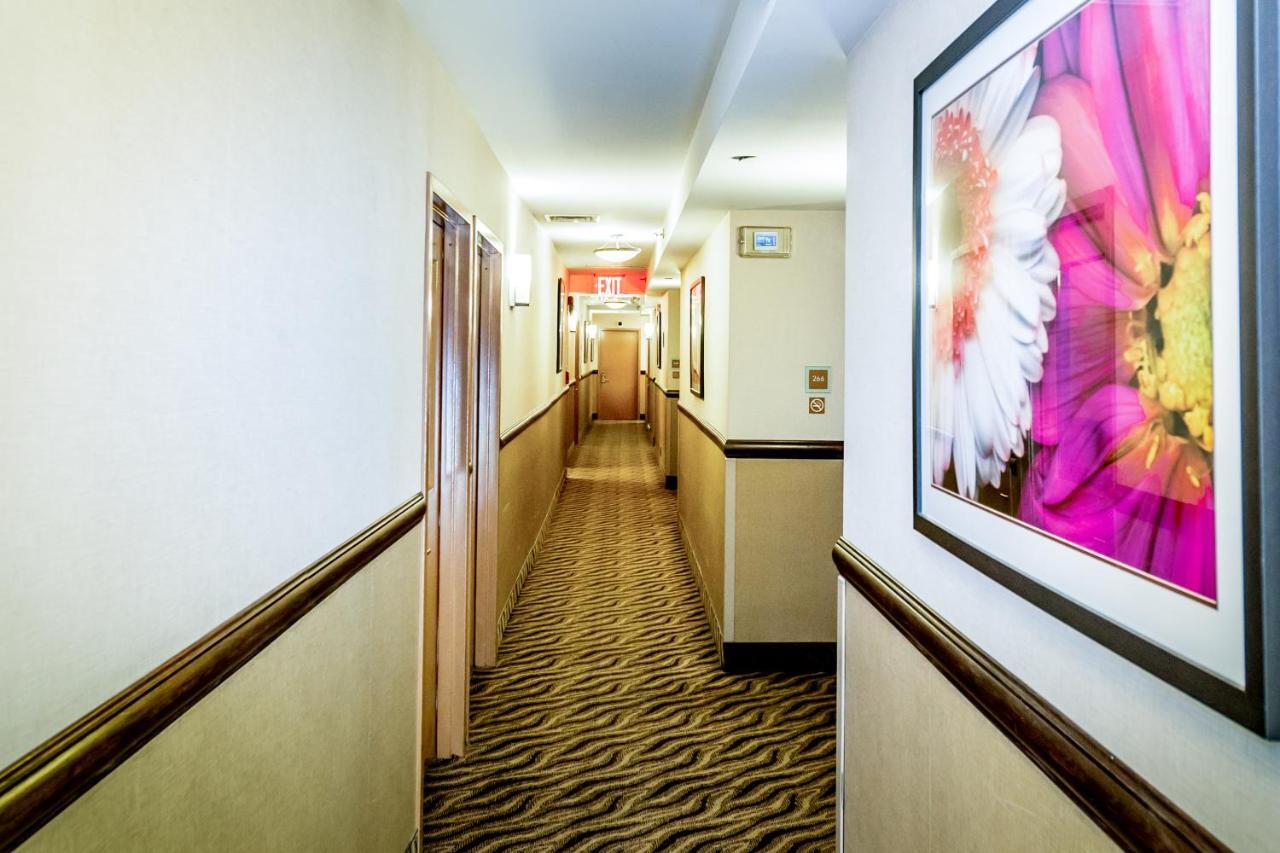 Anchor Hotel New York