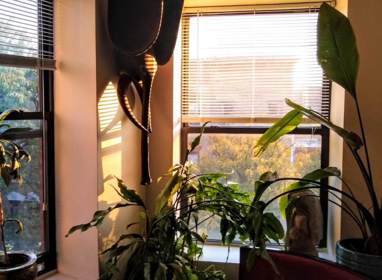 The Gallery House New York